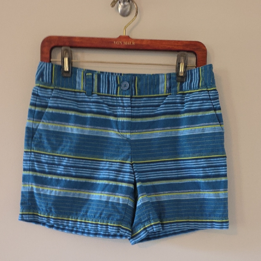 LOFT Blue Shorts with Green and White Stripes